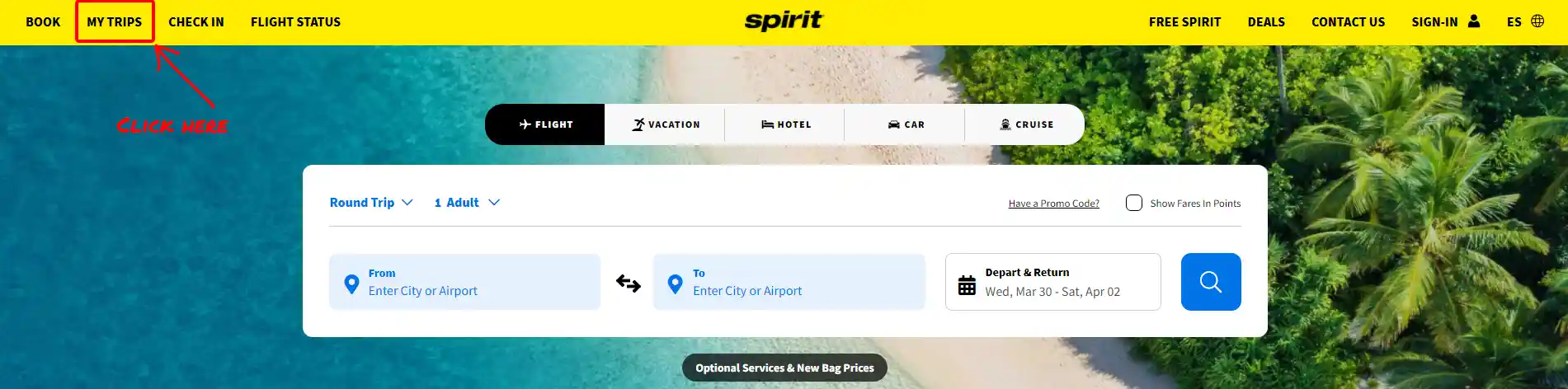 Spirit Airlines My Trips