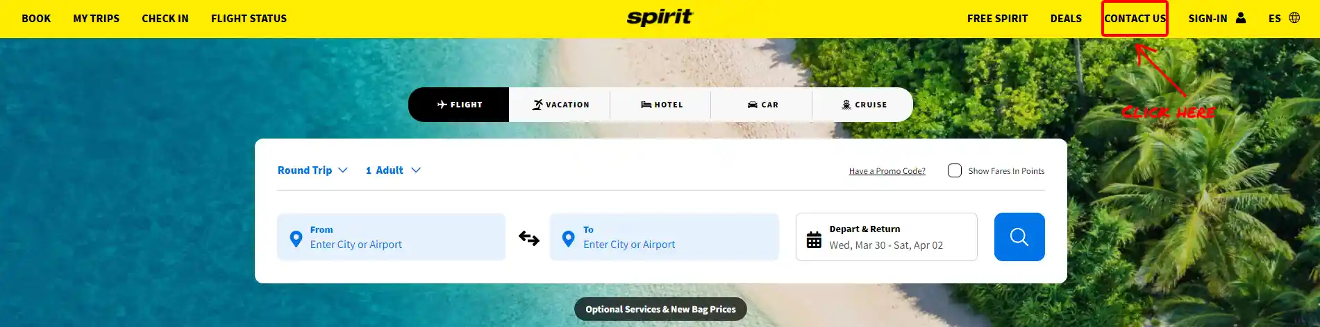 Spirit Airlines Contact Us