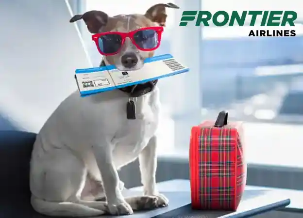 Frontier Airlines Pet Policy