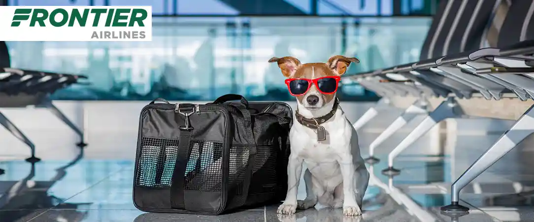 frontier-airlines-pet-policy