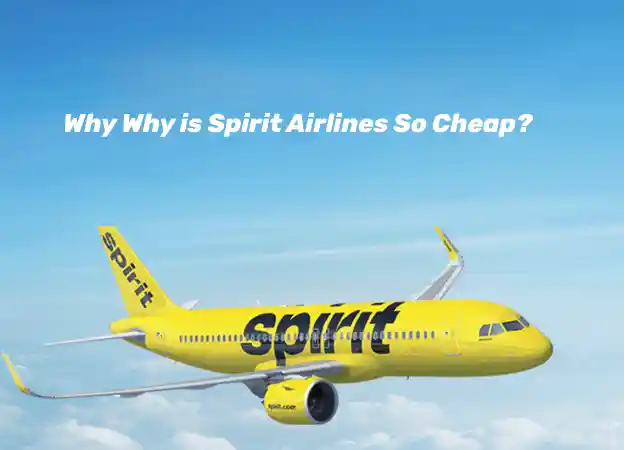 Why is Spirit Airlines So Cheap?