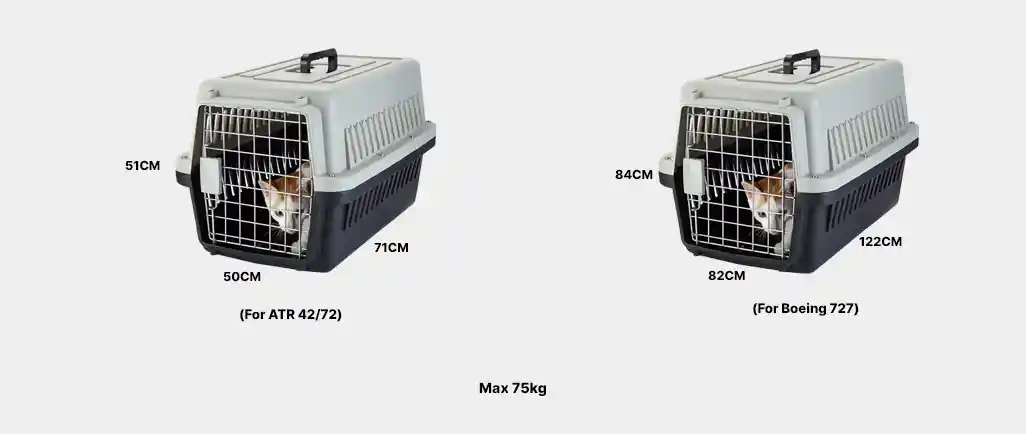 tarom-airlines-pet-baggage-02